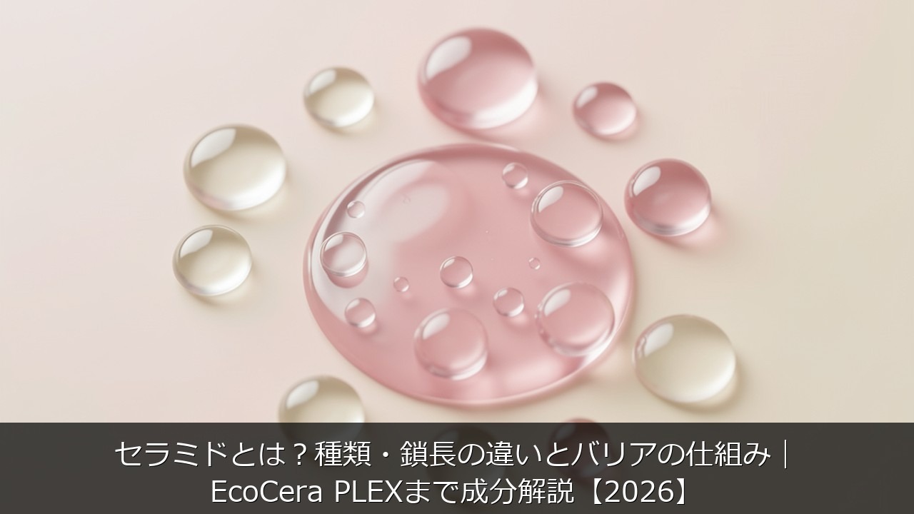 セラミドとは？種類・鎖長の違いとバリアの仕組み｜EcoCera PLEXまで成分解説【2026】のアイキャッチ画像